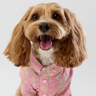 Liberty Shirt - Pink Hearts