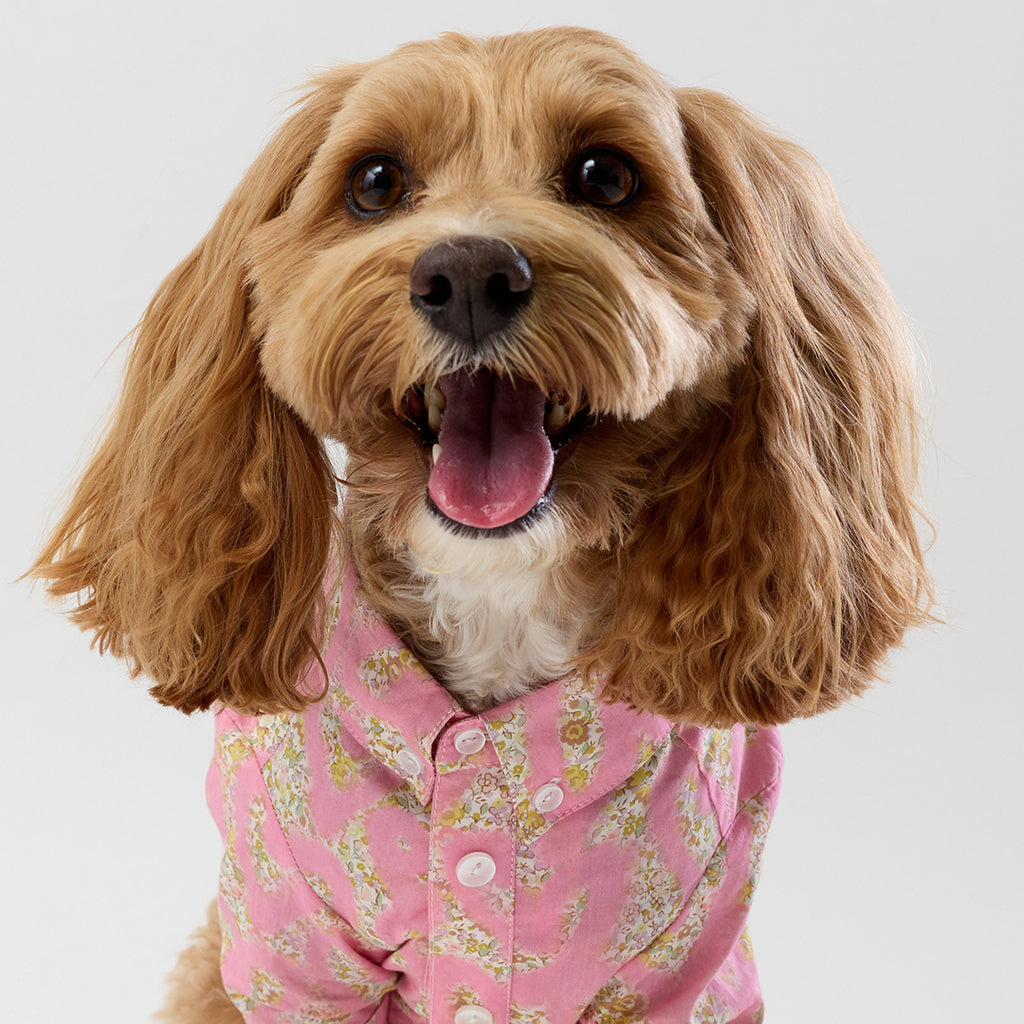 Liberty Shirt - Pink Hearts