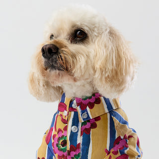 Liberty Shirt - Floral Stripe