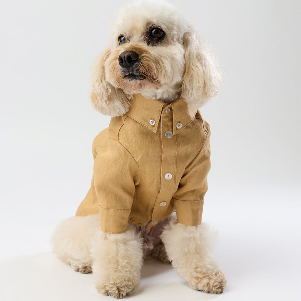 French Linen Shirt - Golden