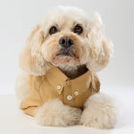 French Linen Shirt - Golden