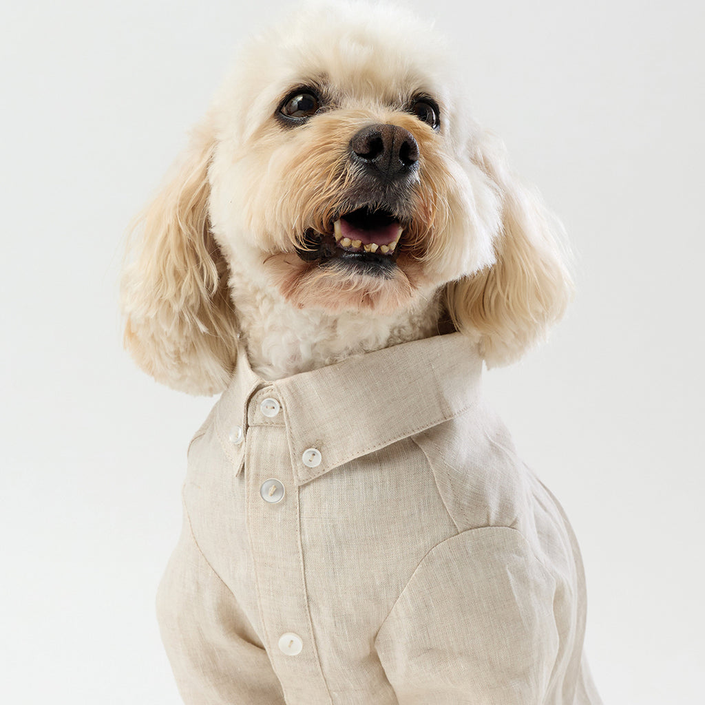 French Linen Shirt - Oat