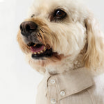 French Linen Shirt - Oat