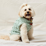 Merino Wool Bobble Knit Dog Sweater - Mint