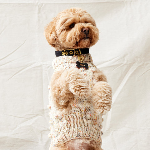 Merino Wool Bobble Knit Dog Sweater - Speckle