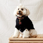Merino Wool Cable Knit Dog Sweater - Black