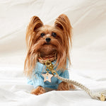 Merino Wool Cable Knit Dog Sweater - Blue