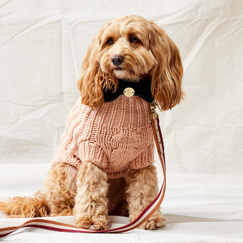 Merino Wool Cable Knit Dog Sweater - Blush