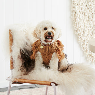 Merino Wool Fringe Knit Dog Sweater - Toffee