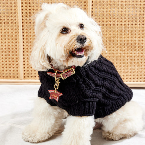 Merino Wool Cable Knit Dog Sweater - Black