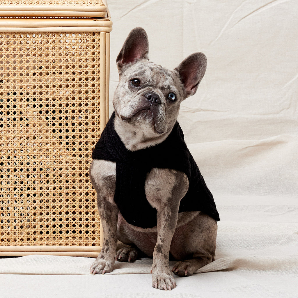 Merino Wool Weave Knit Dog Sweater - Black