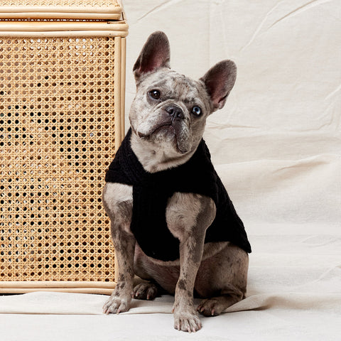 Merino Wool Weave Knit Dog Sweater - Black