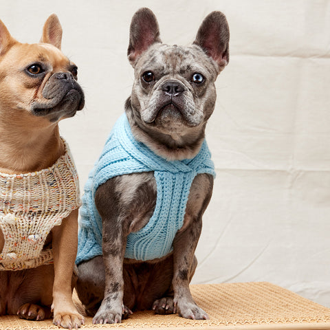 Merino Wool Weave Knit Dog Sweater - Blue