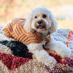 Merino Wool Weave Knit Dog Sweater - Caramel
