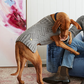 Merino Wool Weave Knit Dog Sweater - Charcoal