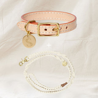 Leather Collar & Lead Set