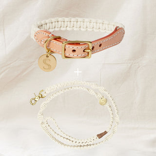 Macramé Collar & Lead Set
