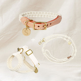 Macramé Collar, Harness & Lead Set
