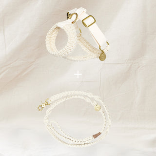 Macramé Harness & Lead Set