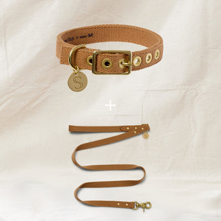Webbing Collar & Lead Set