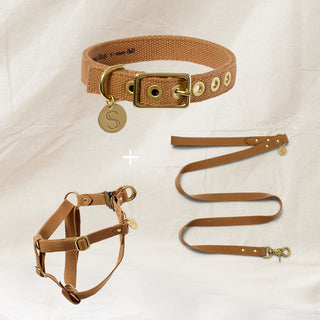 Webbing Collar, Harness & Lead Set