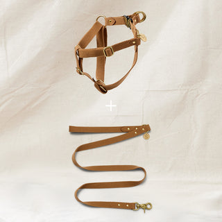 Webbing Harness & Lead Set