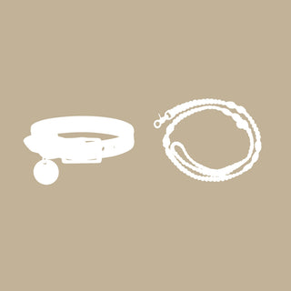 Collar + Lead Bundle