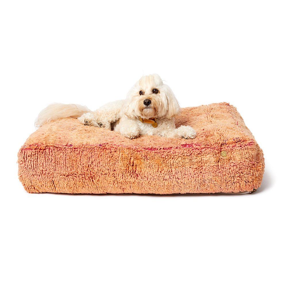 Boujad Dog Bed, Medium - Item #23