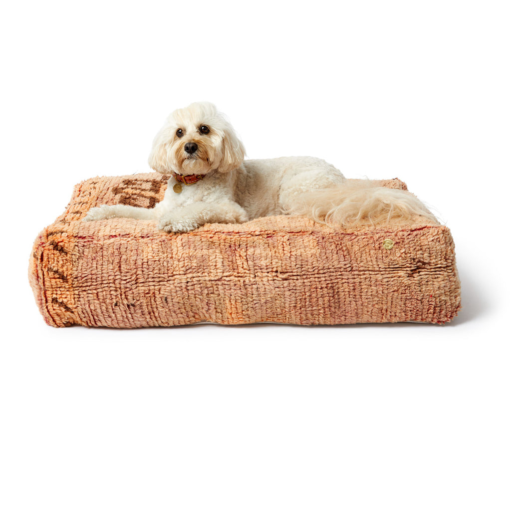 Boujad Dog Bed, Medium - Item #35