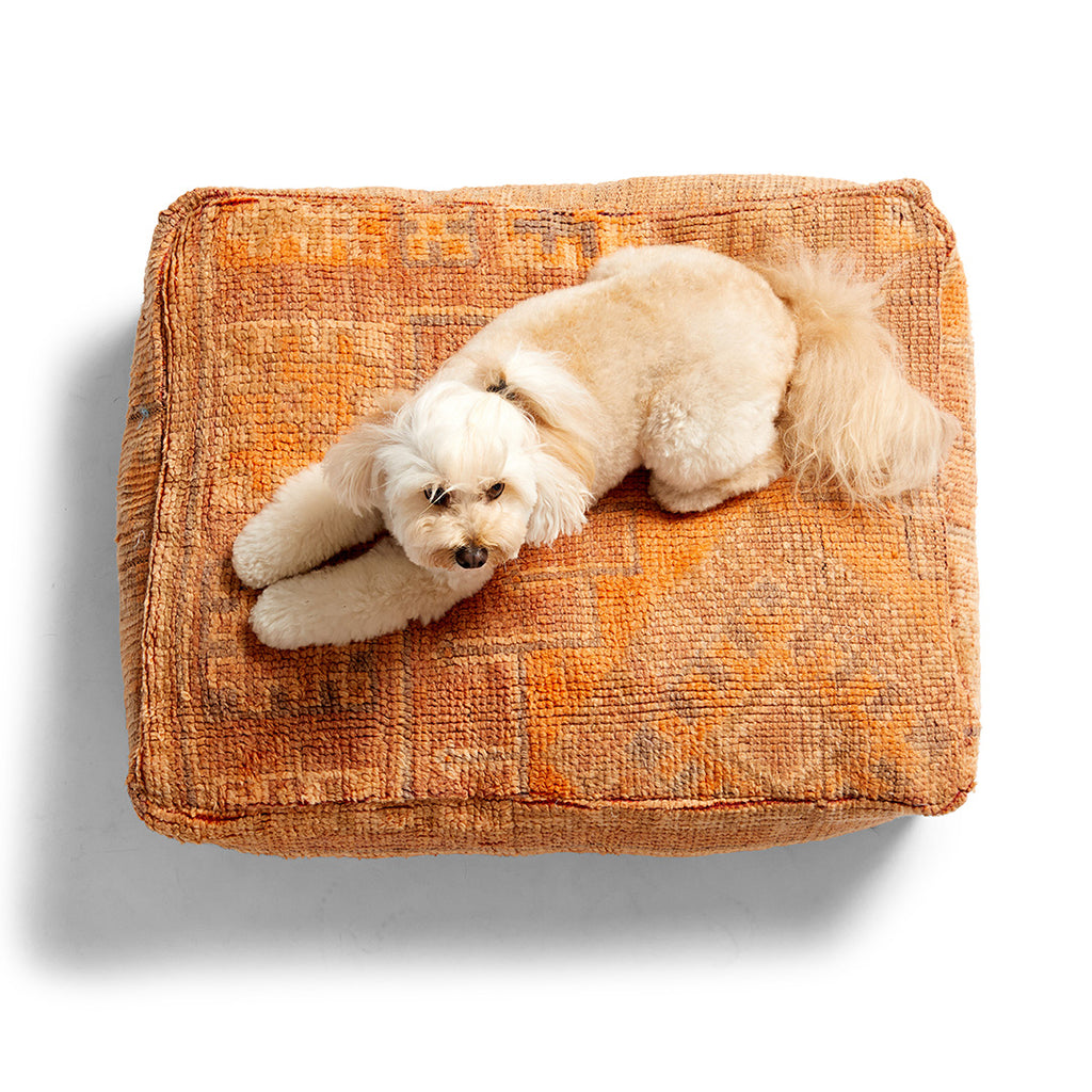 Boujad Dog Bed, Medium - Item #46