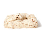 Boujad Dog Bed, Medium - Item #49