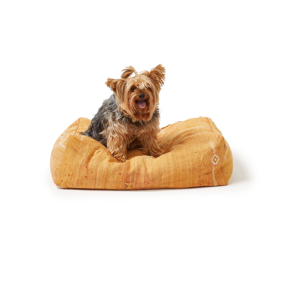 Cactus Silk Dog Bed, Rust Small