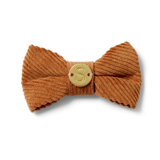 Corduroy Bow Tie - Toffee