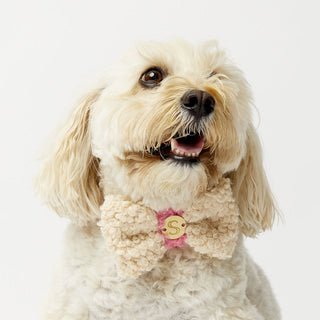 Curly Bow Tie - Bone/Hot Pink