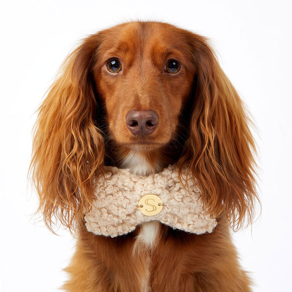 Curly Bow Tie - Bone