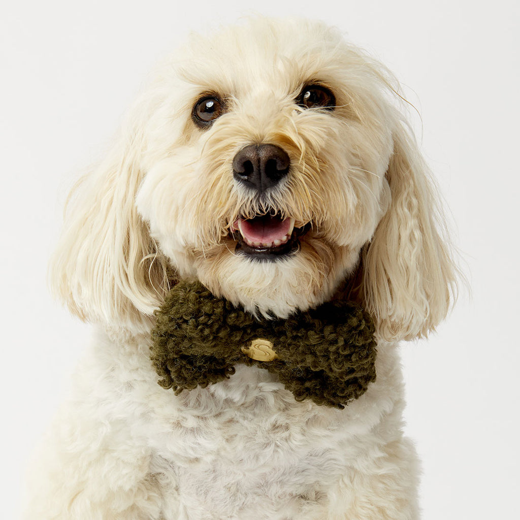Curly Bow Tie - Olive
