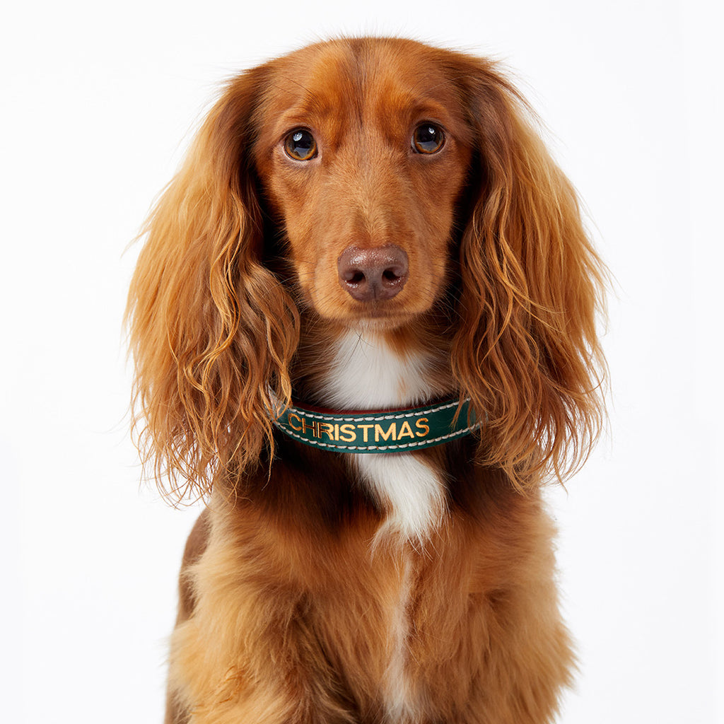 Leather Dog Collar - Green