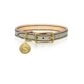 grey leather dog collar