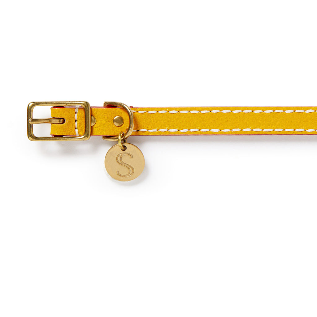 Leather Dog Collar - Mustard