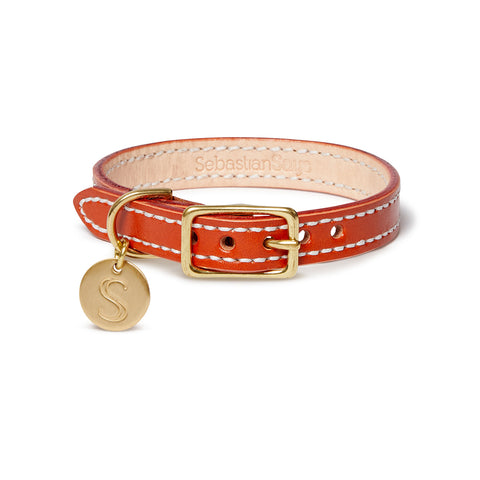 Leather Dog Collar - Orange