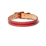 Leather Dog Collar - Terracotta Red
