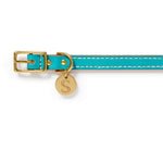 Leather Dog Collar - Turquoise