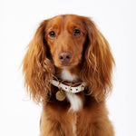 Leather Dog Collar - Vanilla
