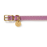 Leather Dog Collar - Violet