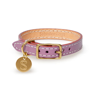 Leather Dog Collar - Violet