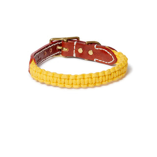 Macramé/Leather Dog Collar - Mustard
