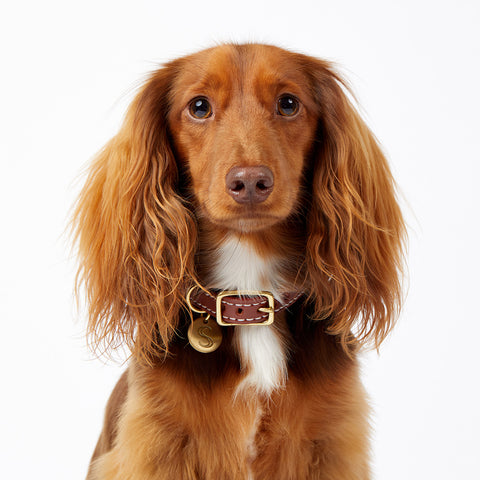 Macramé/Leather Dog Collar - Cognac/Pink