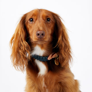 Macramé/Leather Dog Collar - Teal