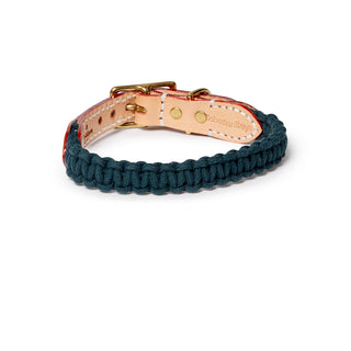 Macramé/Leather Dog Collar - Teal
