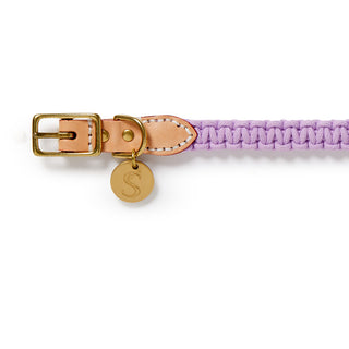 Macramé/Leather Dog Collar - Violet